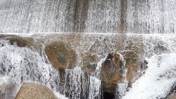 20180521_091151.jpg 20180521_091151.jpg