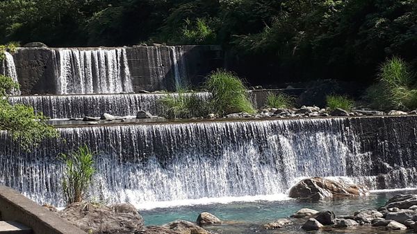 20180521_084341.jpg 20180521_084341.jpg