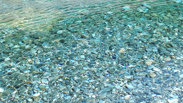 20180521_082853.jpg 20180521_082853.jpg