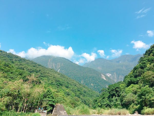 IMG_2942.JPG IMG_2942.JPG