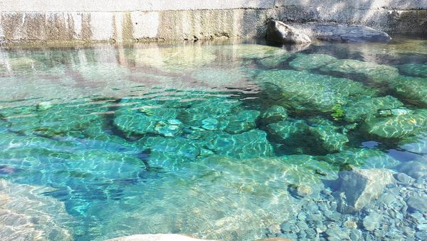 20180521_082506.jpg 20180521_082506.jpg