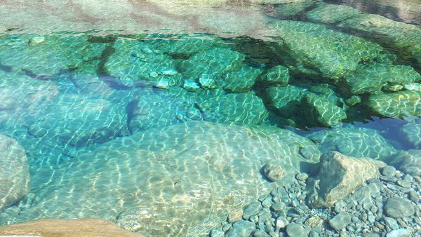 20180521_082552.jpg 20180521_082552.jpg