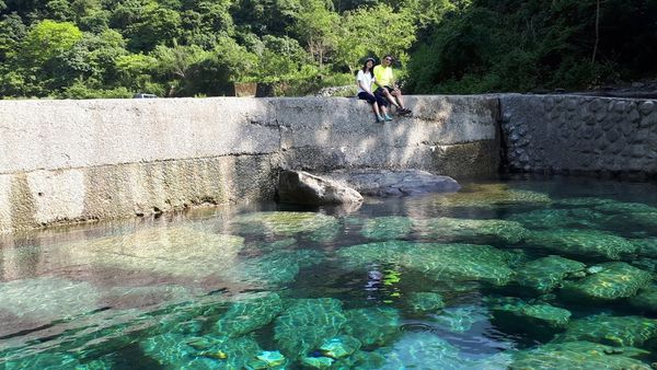 20180521_082450.jpg 20180521_082450.jpg