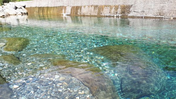 20180521_082435.jpg 20180521_082435.jpg