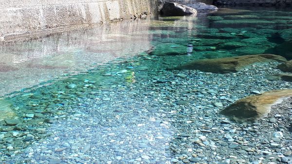 20180521_082301.jpg 20180521_082301.jpg