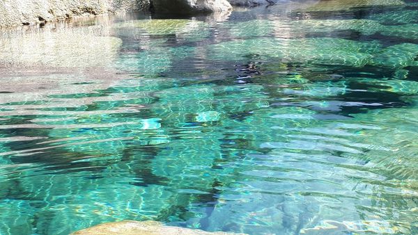 20180521_082420.jpg 20180521_082420.jpg