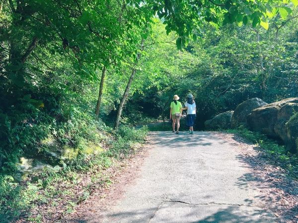 IMG_2945.JPG IMG_2945.JPG