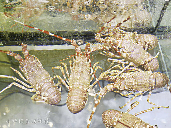 肉肉山,壽喜燒,吃到飽,三創-4.jpg 肉肉山,壽喜燒,吃到飽,三創-4.jpg