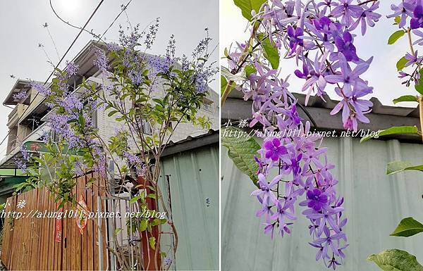 麟洛鄭成功廟  (34).jpg