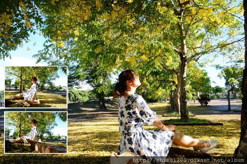 屏東景點.阿勃勒|麟洛運動公園賞金黃大道去