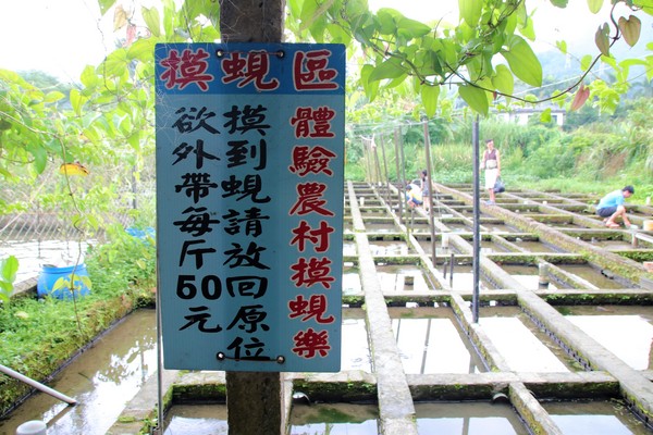 李機場摸蜆農場:【桃園大溪景點】李機場摸蜆農場~假日限定 體驗摸蜆釣螯蝦樂趣親子遊