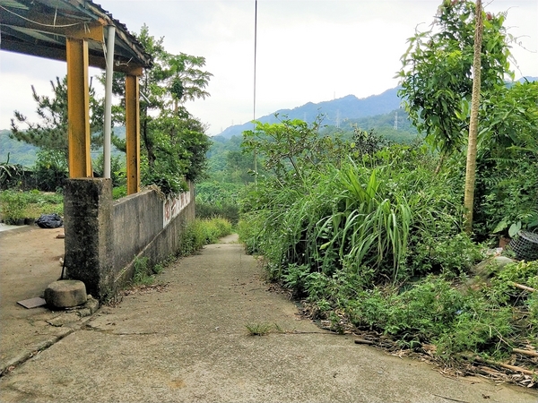 李機場摸蜆農場:【桃園大溪景點】李機場摸蜆農場~假日限定 體驗摸蜆釣螯蝦樂趣親子遊