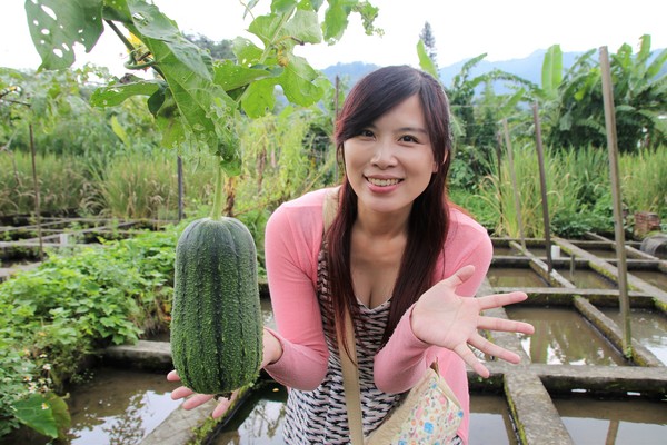 李機場摸蜆農場:【桃園大溪景點】李機場摸蜆農場~假日限定 體驗摸蜆釣螯蝦樂趣親子遊