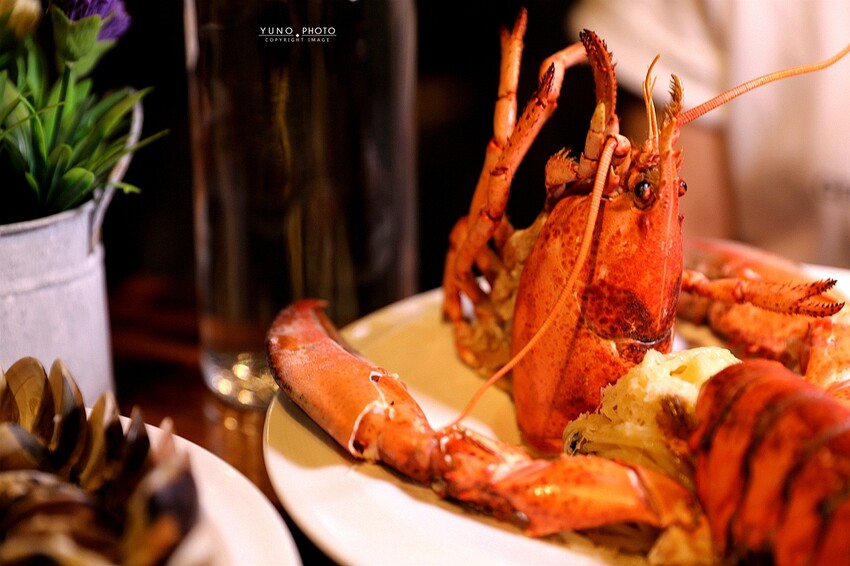 痛風慎入！超狂大龍蝦霸氣上桌 讓海鮮控都爆動｜諾諾索NonLoSo義式料理(一中商圈美食)