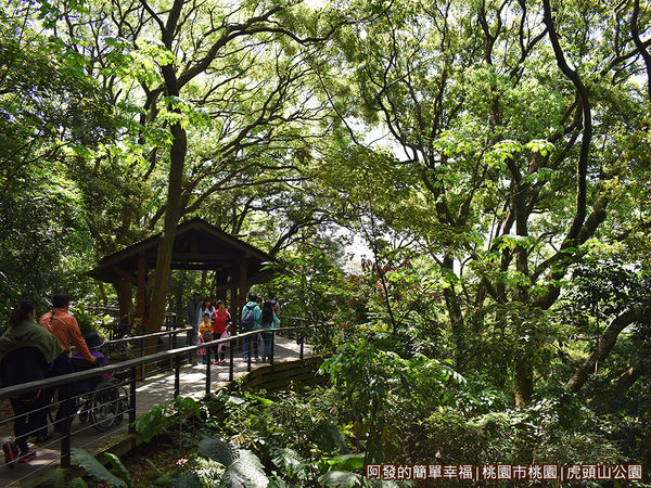 虎頭山公園周邊景點美食02-綠意盎然的環山步道.JPG