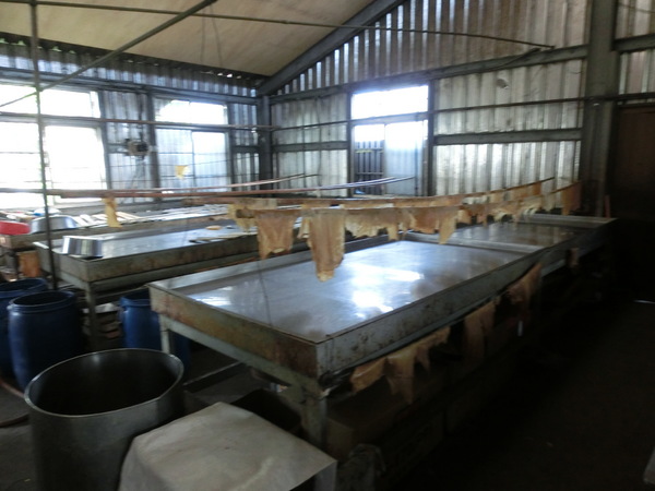 大池豆包豆花豆漿店：大池豆包豆花豆漿店