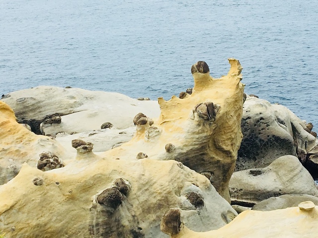 IMG_3363.JPG - 2018基隆新景點