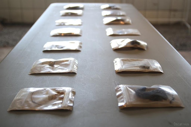 苔客上岸-正濱港灣共創藝術節-4