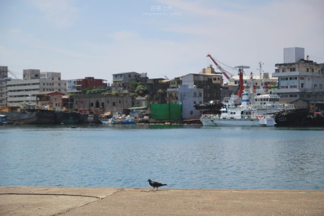 苔客上岸-正濱港灣共創藝術節-32
