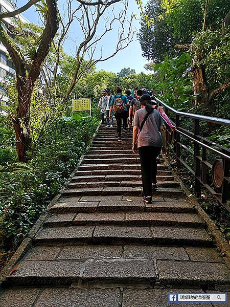 台北登山步道【象山親山步道初體驗】飽覽101美景/101跨年煙火最佳拍攝景點/台北休閒旅遊推薦