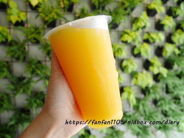 桃園中壢美食【托比帕克民族店】韓國雪冰 #冰品飲品 #桃園冰店 #桃園冰店推薦 #桃園中壢冰店 (10).JPG