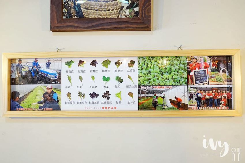 麥意斯咖啡蔬食|台中西屯充滿異國風采的素食咖啡餐廳,嚴選新鮮食材和自家烘培咖啡,餐點口感豐富,咖啡香甜滑順很值得一試!