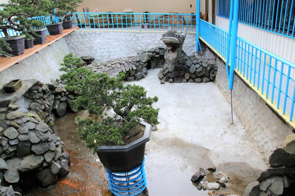 7號驛站:【桃園大溪景點】7號驛站~鵝黃色餐廳大片落地窗用餐氣氛佳 木工藝品欣賞 慈湖賞梅花落羽松中繼站 7號驛站:【桃園大溪景點】7號驛站~鵝黃色餐廳大片落地窗用餐氣氛佳 木工藝品欣賞 慈湖賞梅花落羽松中繼站