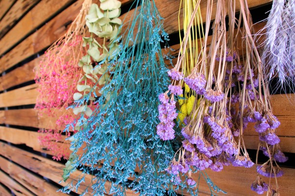 7號驛站:【桃園大溪景點】7號驛站~鵝黃色餐廳大片落地窗用餐氣氛佳 木工藝品欣賞 慈湖賞梅花落羽松中繼站 7號驛站:【桃園大溪景點】7號驛站~鵝黃色餐廳大片落地窗用餐氣氛佳 木工藝品欣賞 慈湖賞梅花落羽松中繼站