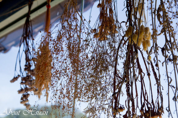 7號驛站：大溪-親子餐廳推薦-7號驛站