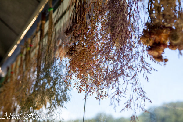 7號驛站：大溪-親子餐廳推薦-7號驛站