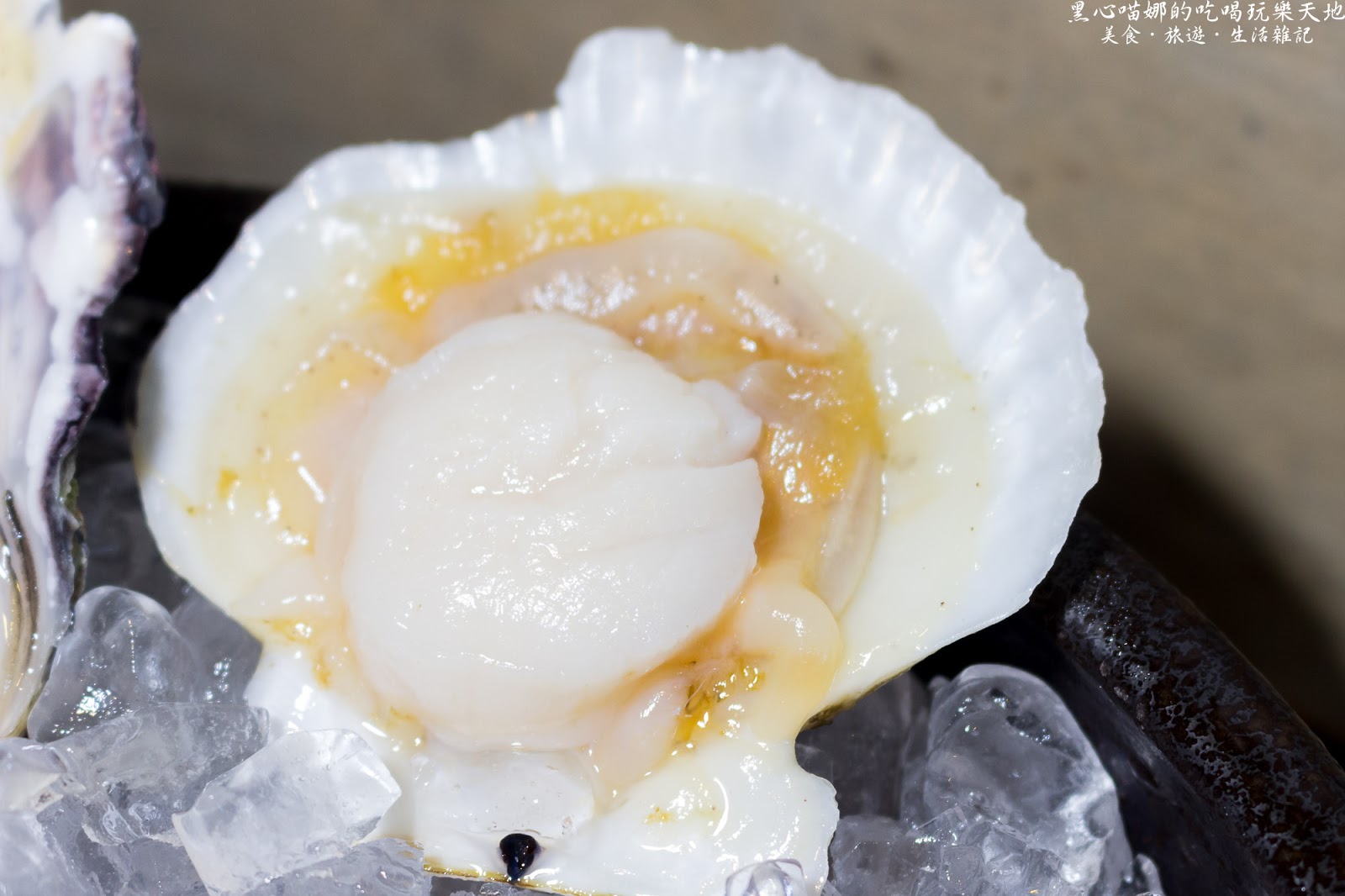 高雄左營︱九勺涮涮鍋　新開幕！！在清爽的環境裡吃鍋物，夏天裡不用再揮汗的高雅享受！