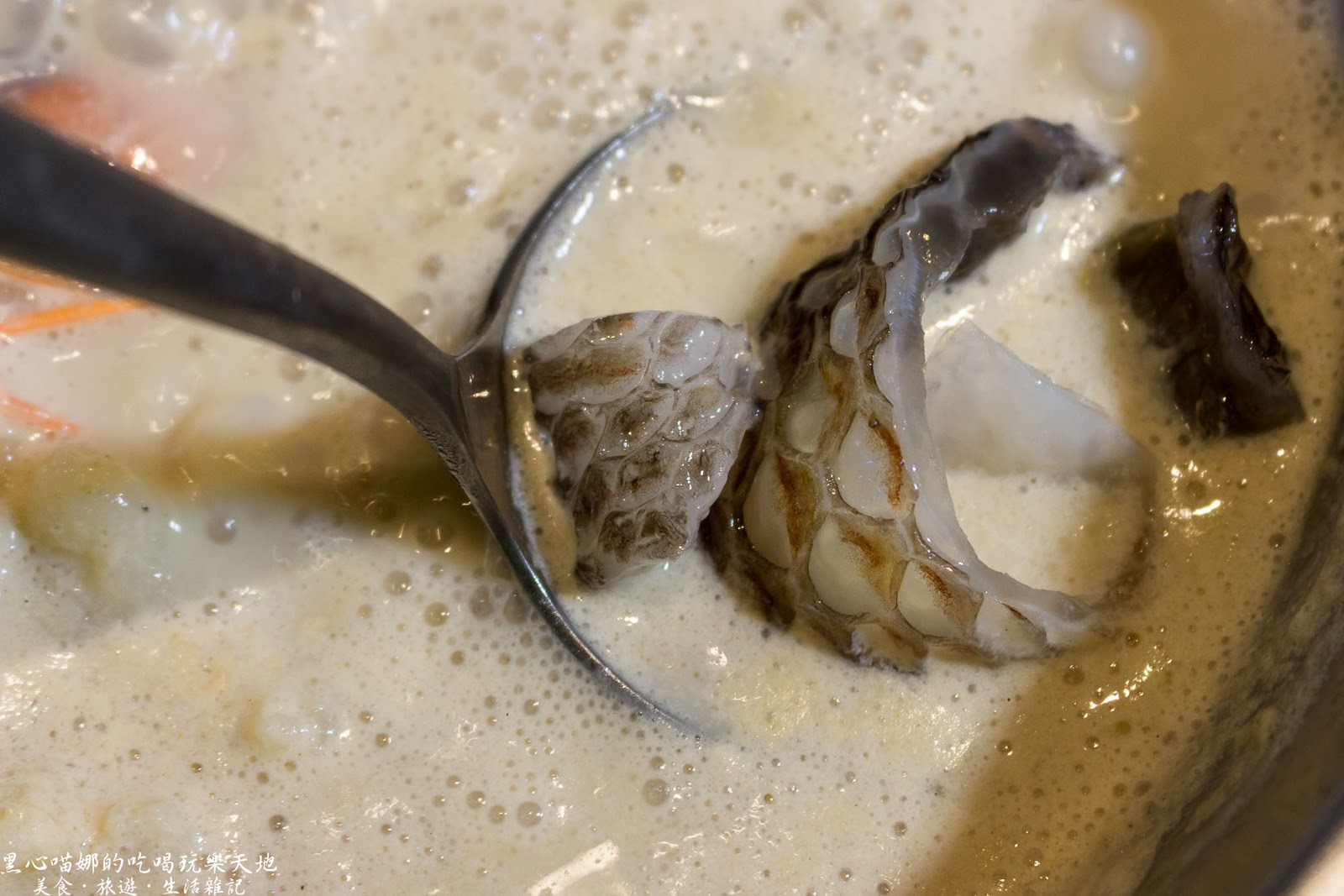 高雄左營︱九勺涮涮鍋　新開幕！！在清爽的環境裡吃鍋物，夏天裡不用再揮汗的高雅享受！