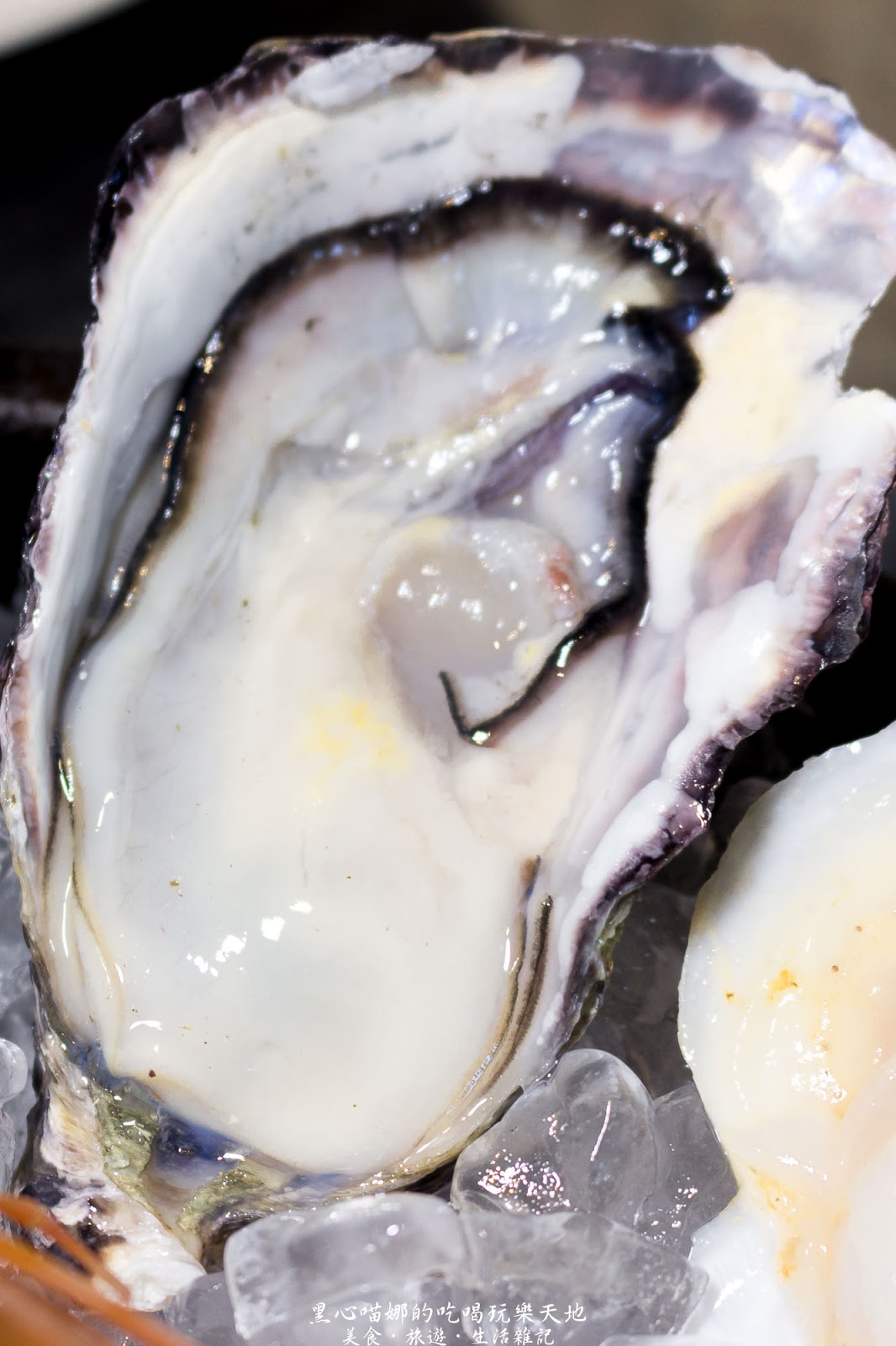 高雄左營︱九勺涮涮鍋　新開幕！！在清爽的環境裡吃鍋物，夏天裡不用再揮汗的高雅享受！