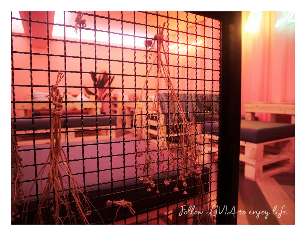 Jungle Plan 叢零計劃 (20)