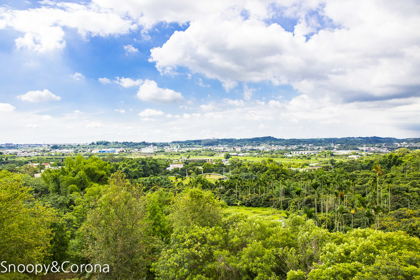 【嘉義景點】IG打卡景點／幸福山丘Happy Hill～景觀貨櫃屋咖啡館，嘉義賞油桐花熱門景點