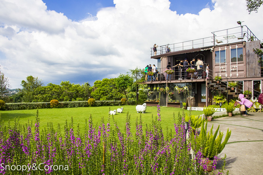 【嘉義景點】IG打卡景點／幸福山丘Happy Hill～景觀貨櫃屋咖啡館，嘉義賞油桐花熱門景點