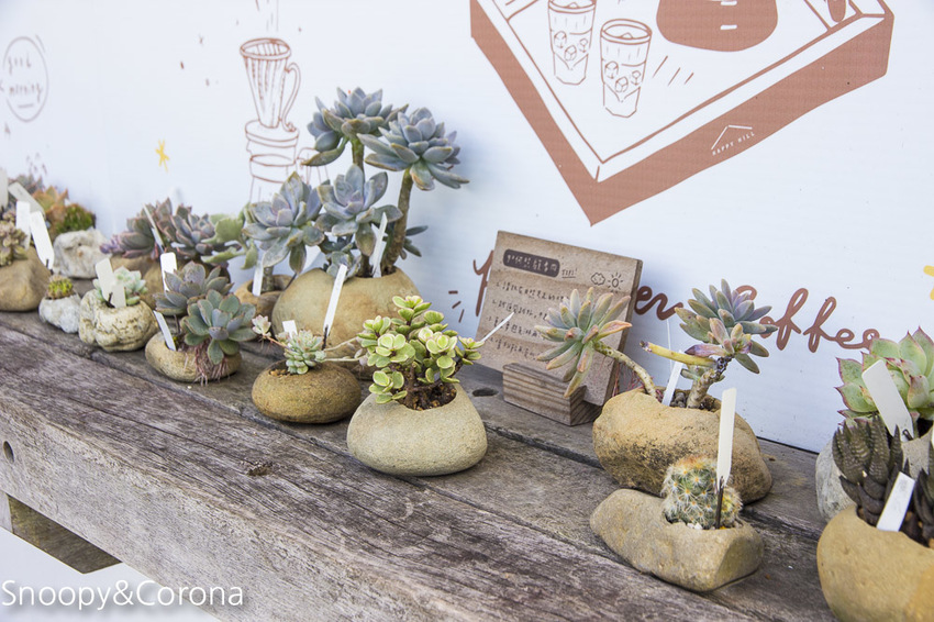 【嘉義景點】IG打卡景點／幸福山丘Happy Hill～景觀貨櫃屋咖啡館，嘉義賞油桐花熱門景點