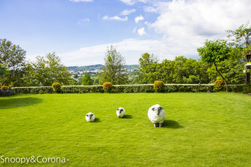 【嘉義景點】IG打卡景點／幸福山丘Happy Hill～景觀貨櫃屋咖啡館，嘉義賞油桐花熱門景點