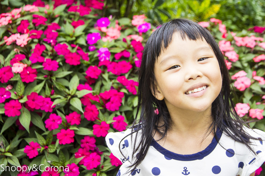【嘉義景點】IG打卡景點／幸福山丘Happy Hill～景觀貨櫃屋咖啡館，嘉義賞油桐花熱門景點