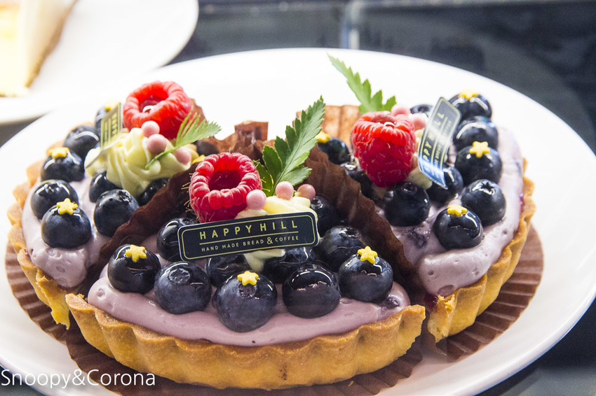 【嘉義景點】IG打卡景點／幸福山丘Happy Hill～景觀貨櫃屋咖啡館，嘉義賞油桐花熱門景點