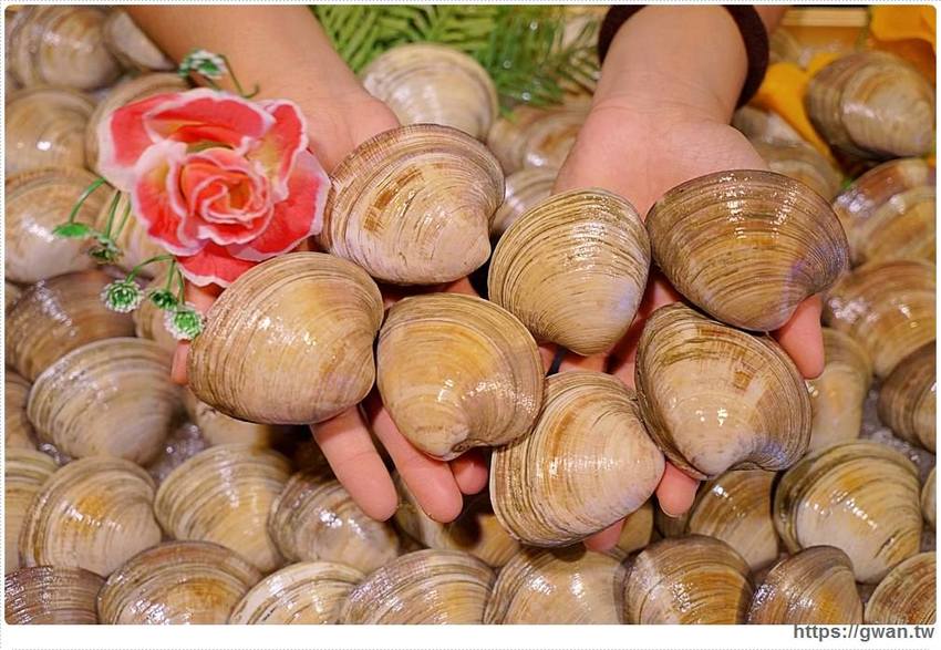 台中超狂牛奶貝火鍋來囉～重達18斤、比人還高，拳頭大牛奶貝吃到翻一人只要300多！ - 吃關關