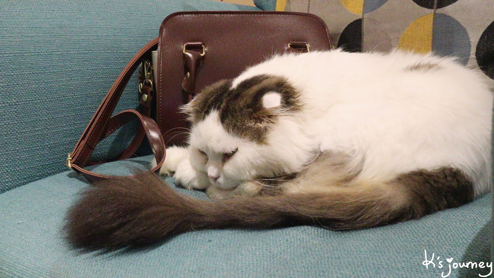 圖角獸咖啡｜東區夢幻系咖啡廳！一秒變白雪公主！