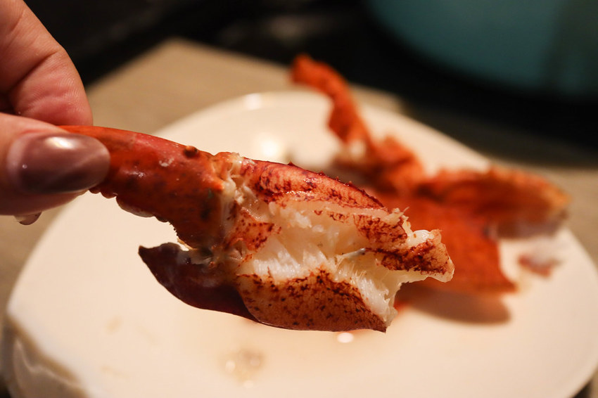 釧井 飛驒牛(海鮮鍋物) (77)