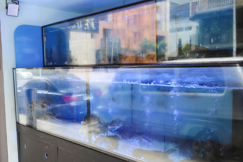 釧井 飛驒牛(海鮮鍋物) (4)