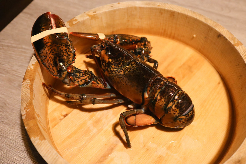 釧井 飛驒牛(海鮮鍋物) (30)