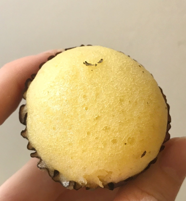 20180522 #1_180522_0015.jpg