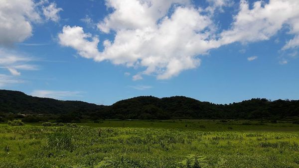 34111295_1807572952597250_1248007008183910400_n