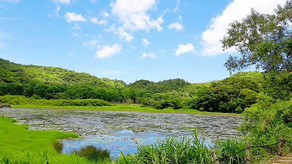 34191632_1807571615930717_2709227321201524736_n