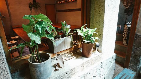 71244323_2652657404765932_9138394730218913792_n