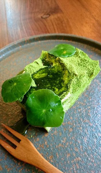 34411853_1899627640068916_988718032933093376_n